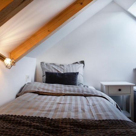Bright & Spacious Loft In The Heart Of Old Town ليوبليانا المظهر الخارجي الصورة